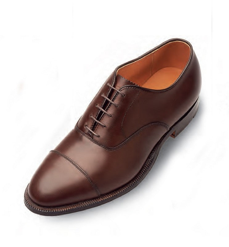 Alden shoes